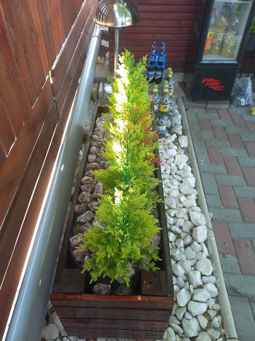 Jardiniera brăduți terase gradina interior