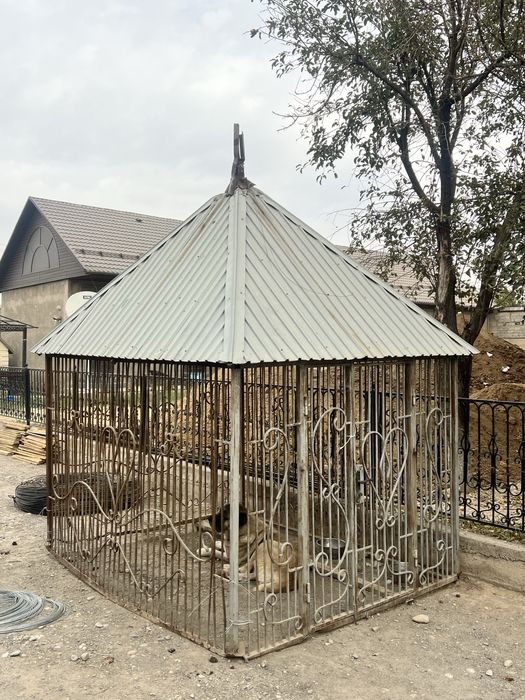 Вальер для собаки