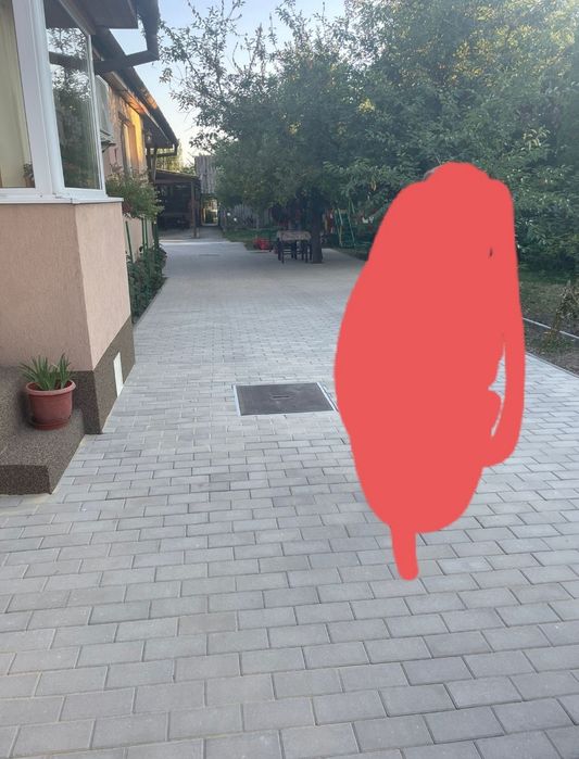 Pavaje și garduri