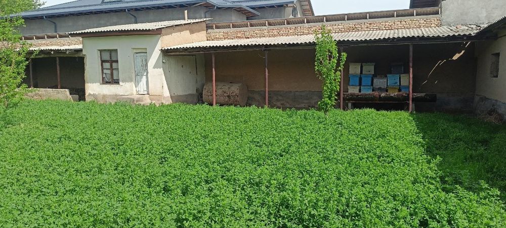 Keles qaynamada yer xisobida uy sotiladi