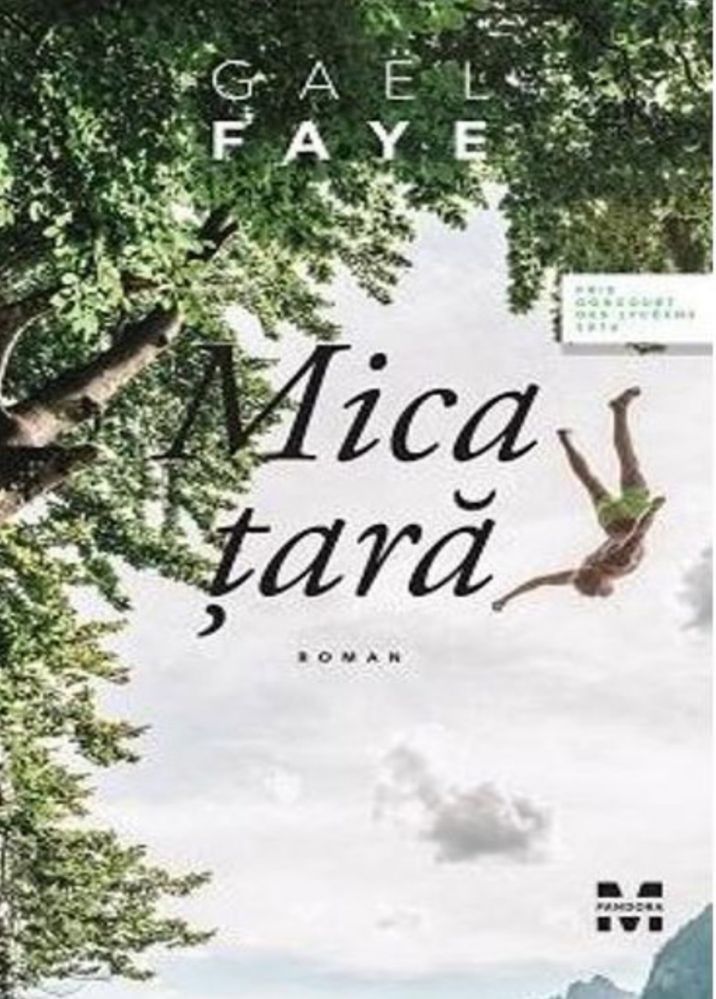 Carte pdf - Gael Faye - Mica țară