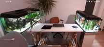 Set acvarii identice, inclus capace, filtre, standuri
