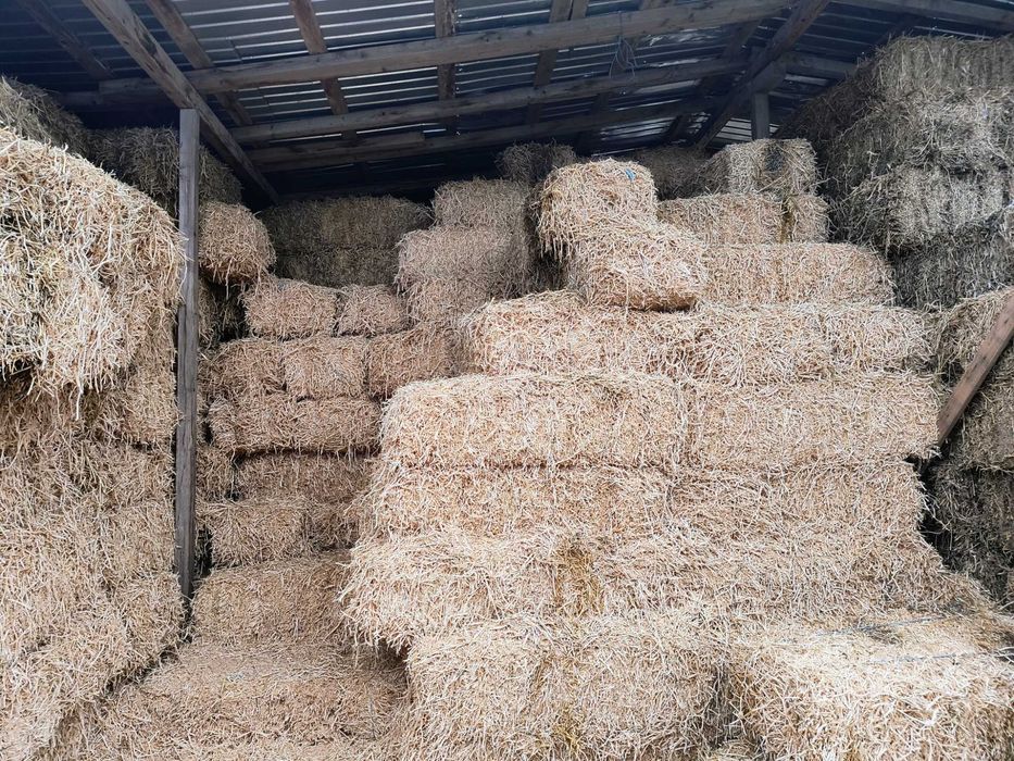 Baloți paie mazare