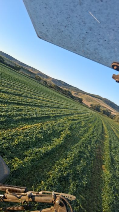 Baloti lucerna  si fân calitate premium