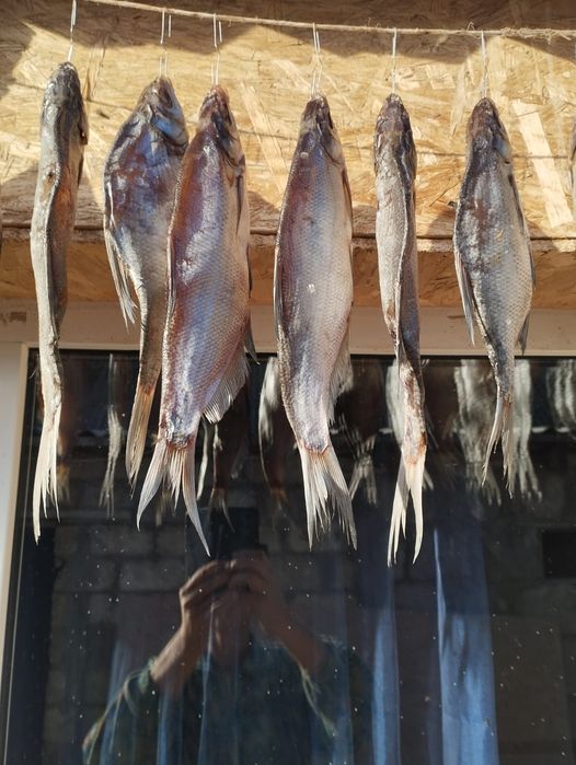 Продам сушёную рыбу