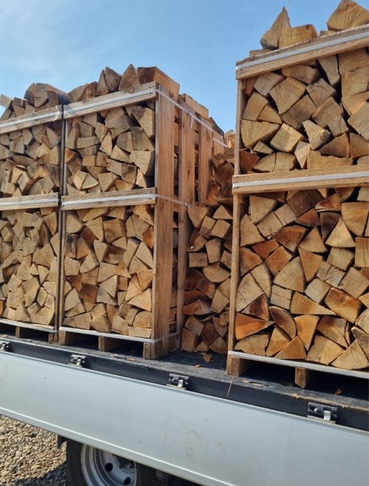 Lemne de foc eseta tare