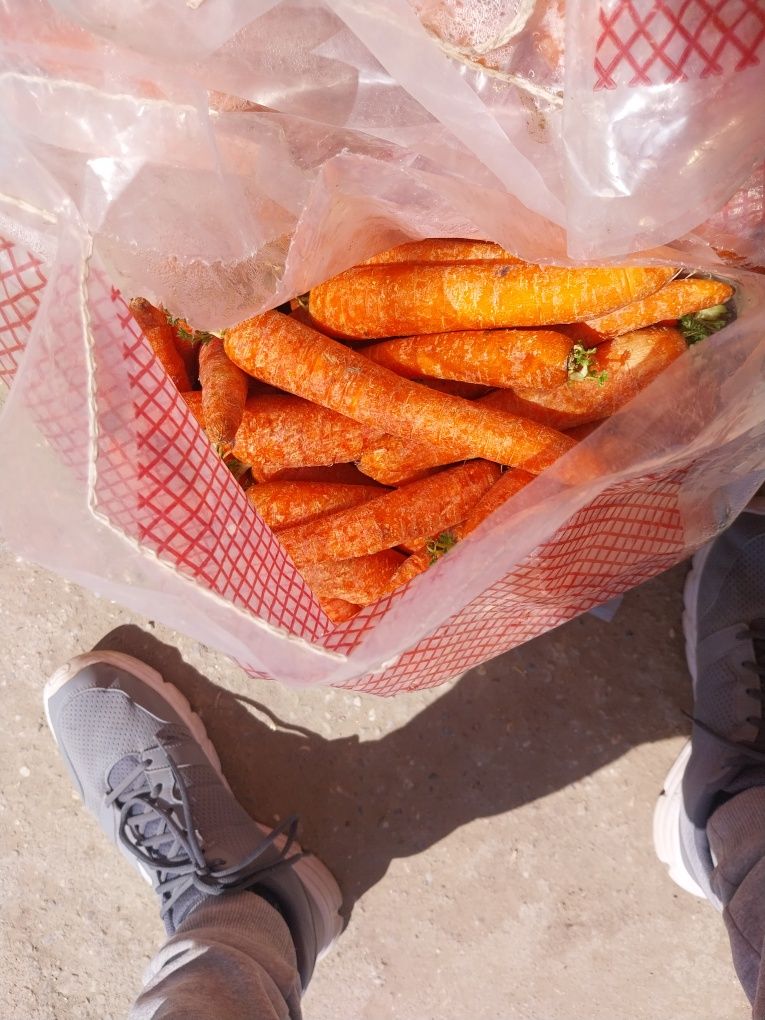 Vând morcovi calitatea 1