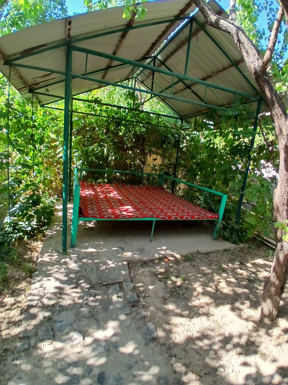Дача в горах, природа...
