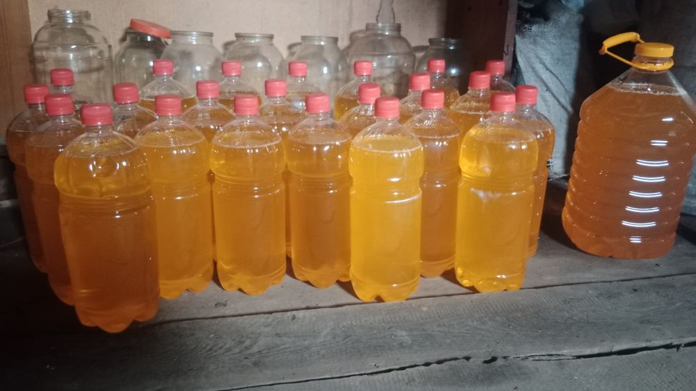 Продам мед катонский собственнной