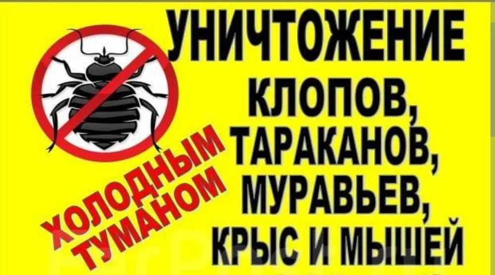 Дезинфекция холодным туманом от клопов и тараканов! Эффект 100%