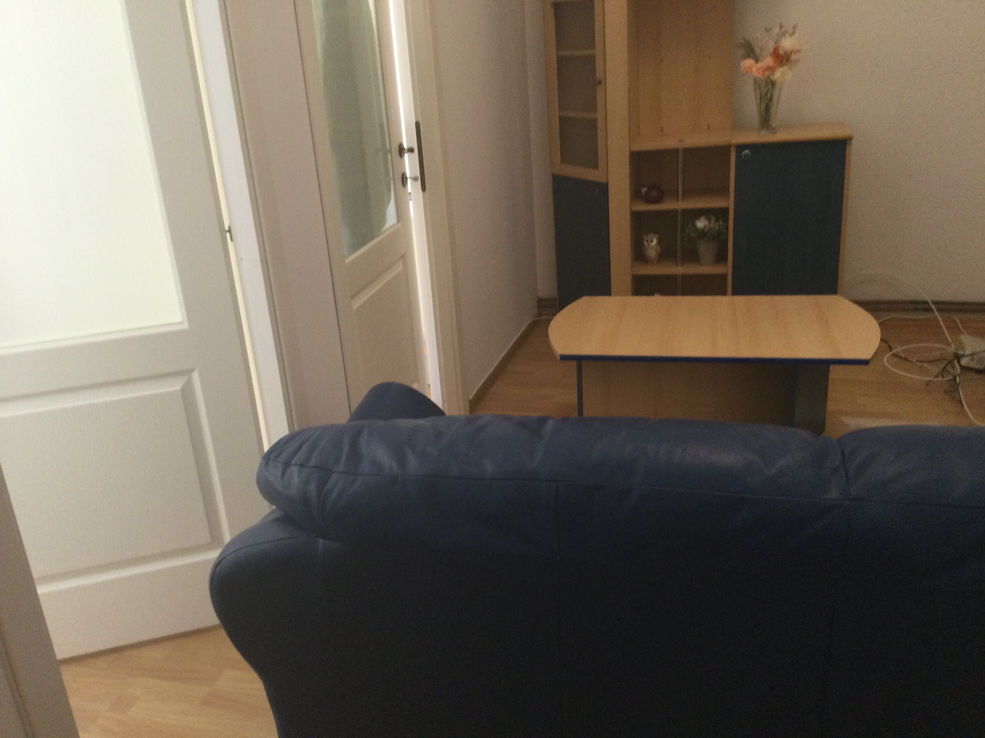 Canapea piele naturala, masa cafea & corp mobilier