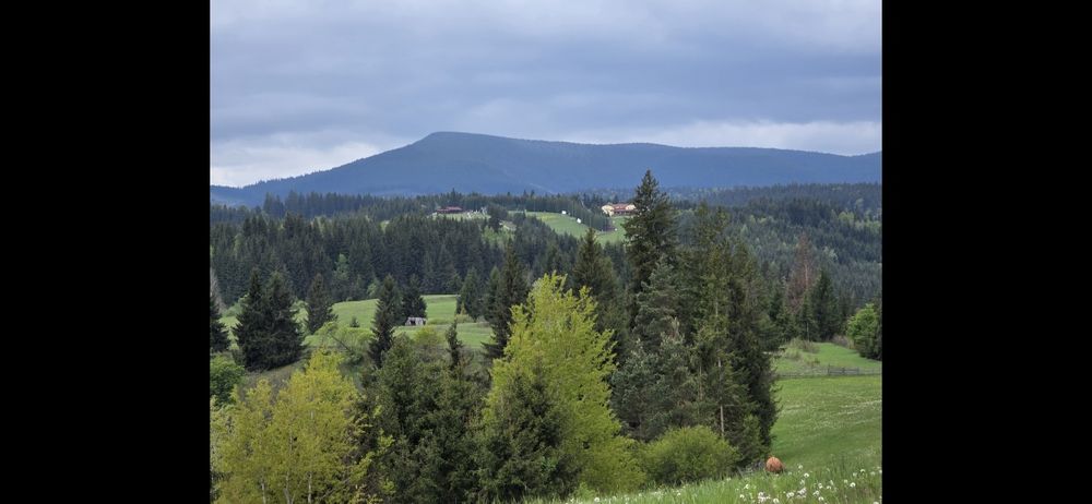 Teren intravilan cu CF Toplița 33 euro/mp