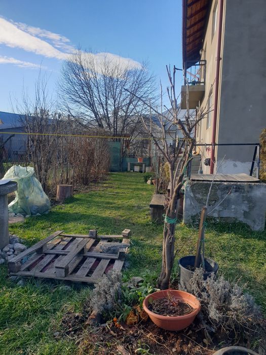 Vind casa Cornu Luncii