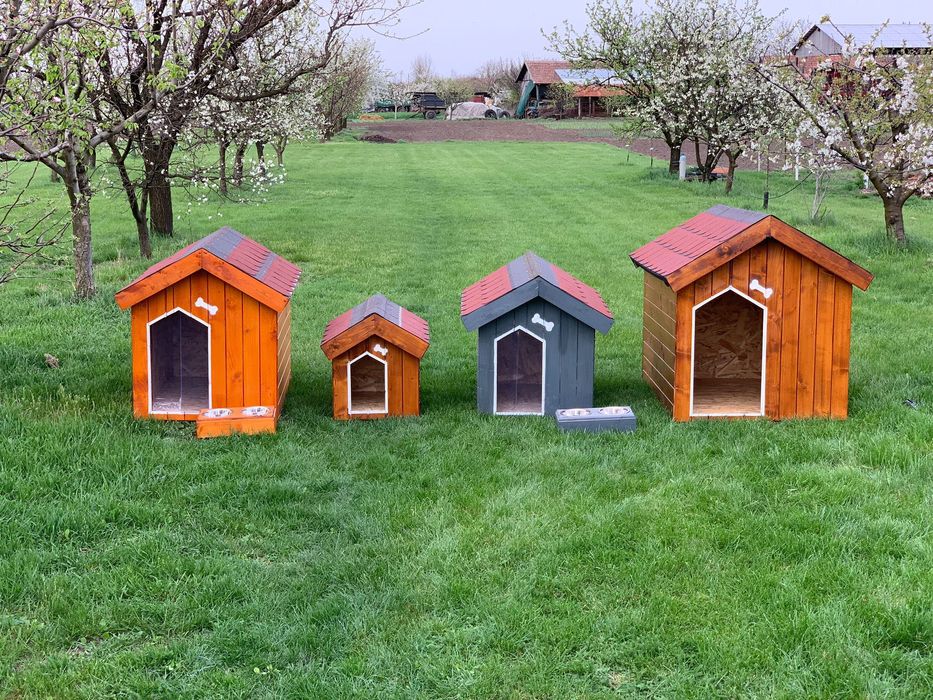 Cușcă de câine izolată profesional - livrare rapidă