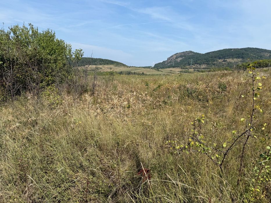 Vand teren intravilan in satul Cozia