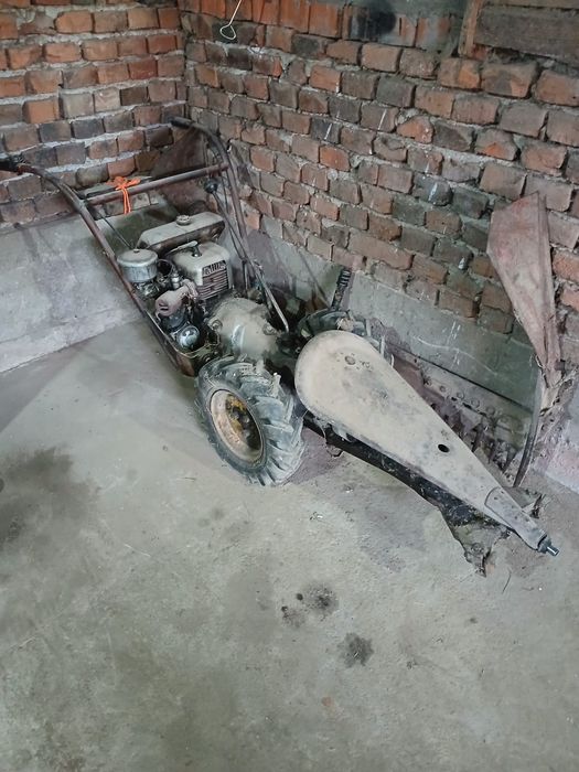 Vând cositoare carpatina