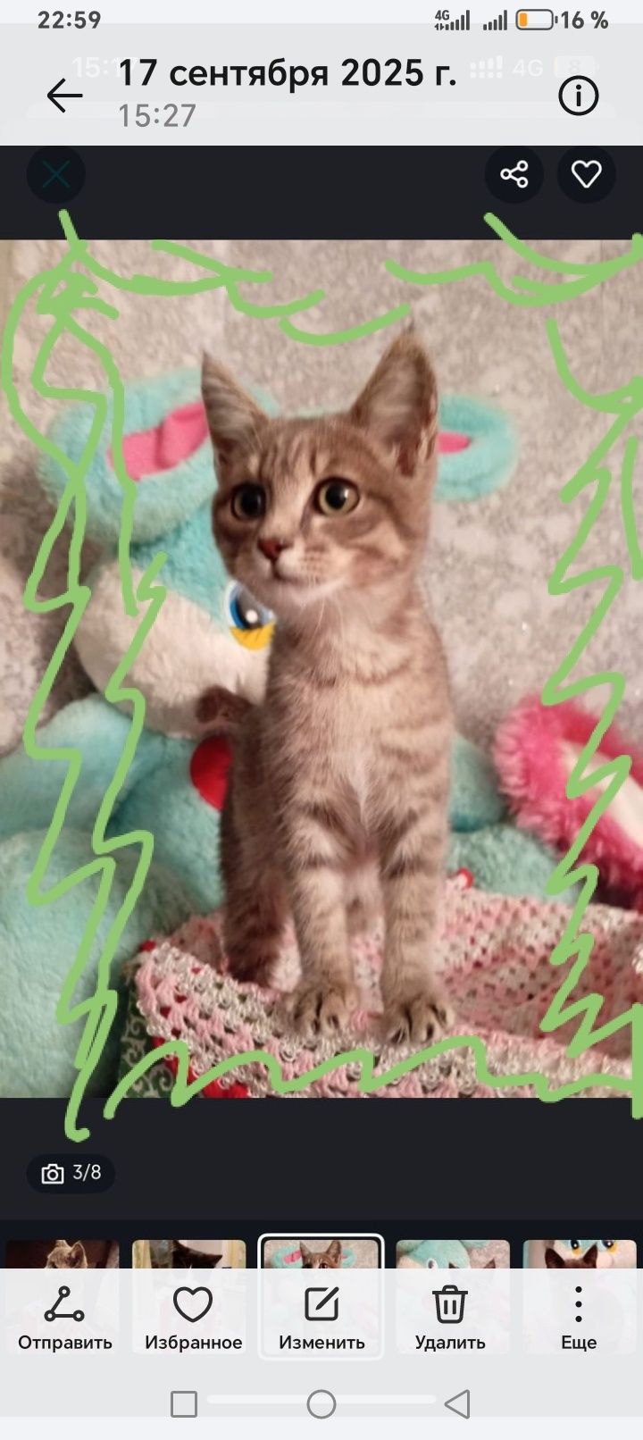 Очень милые котята