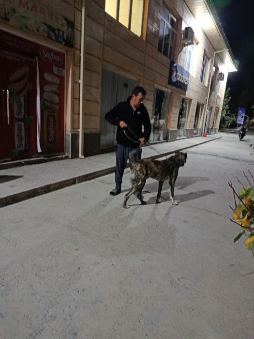 8 oylik kichik sogʻligʻi yaxshi.