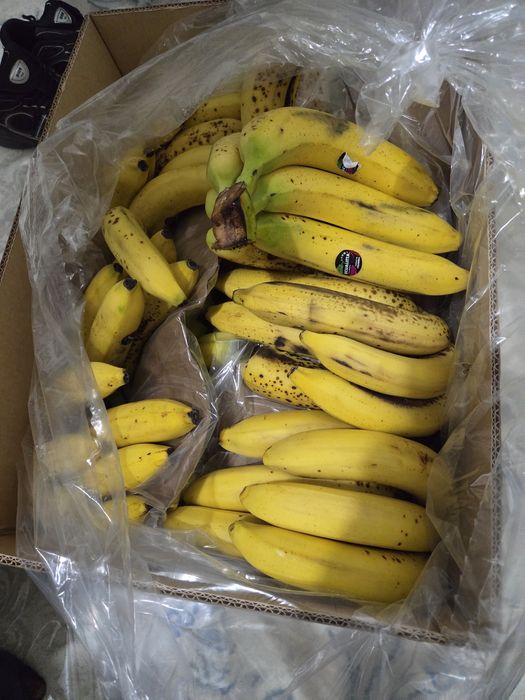 Банан 800тг кг цена оптовая