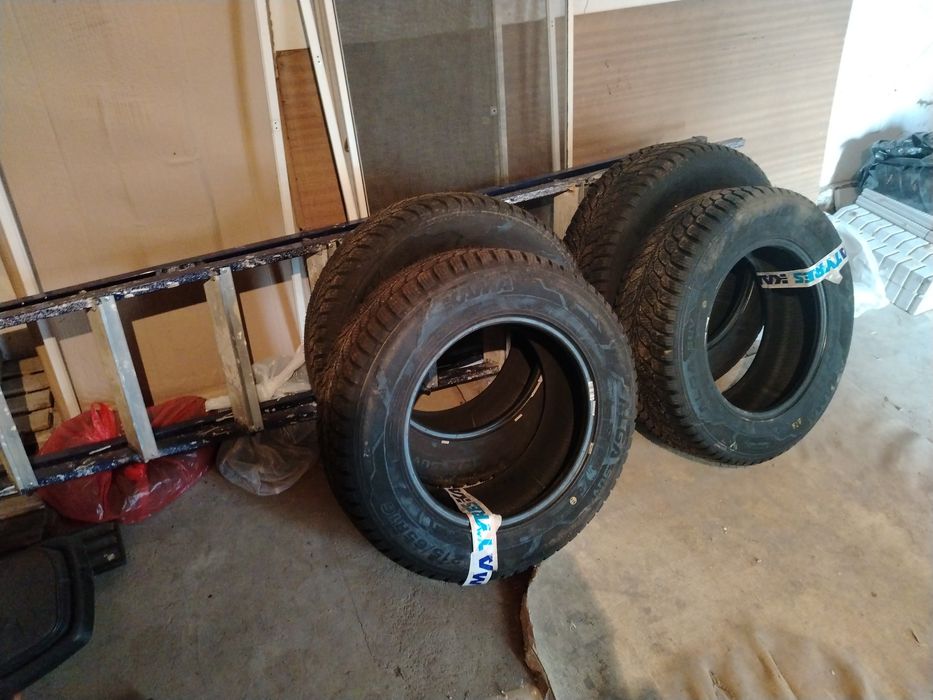 резины Кама зимние