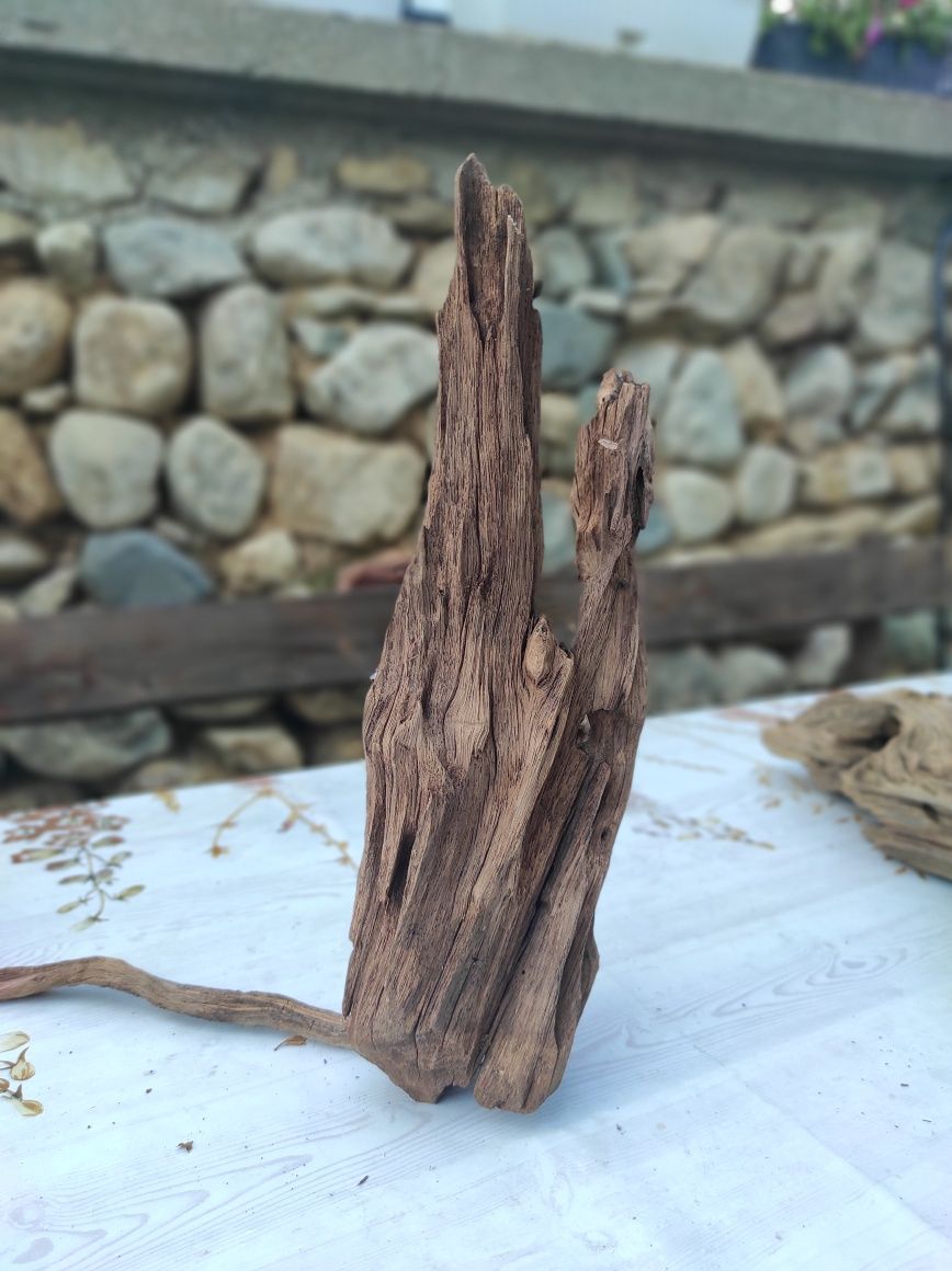 Корени за аквариум