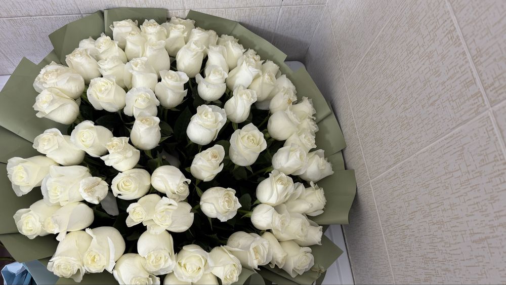 101 белых розы цветы