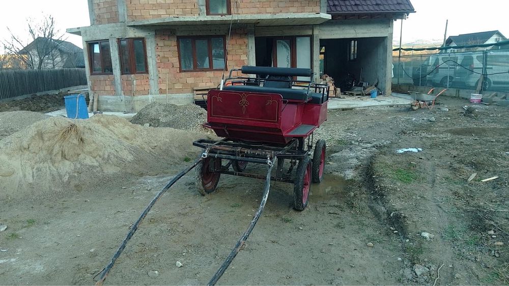 De vanzare:Trasura Maraton