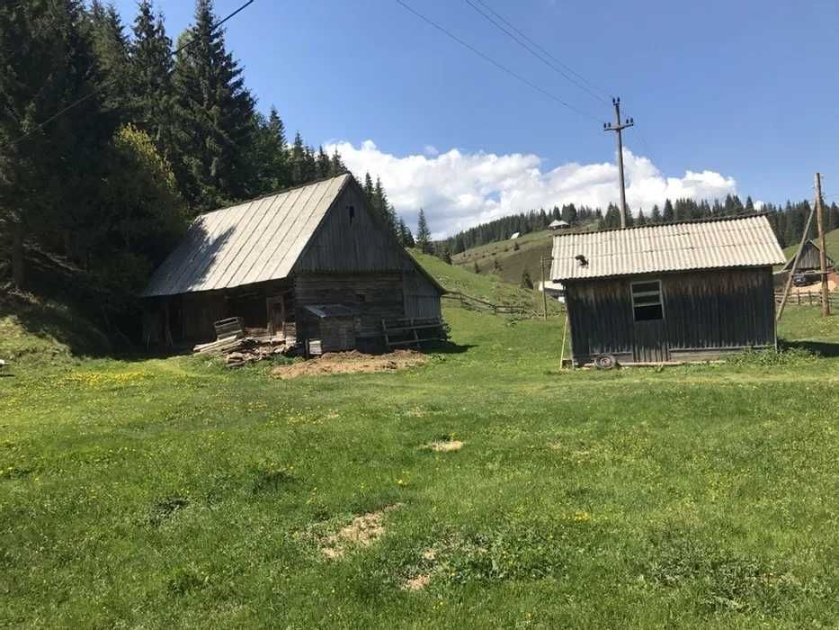 Casă rustică la munte + poiată, pe teren 4700mp, pădure si pârâu