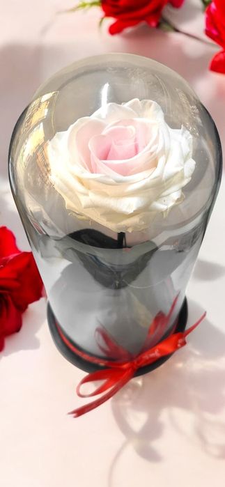 Trandafiri criogenati!