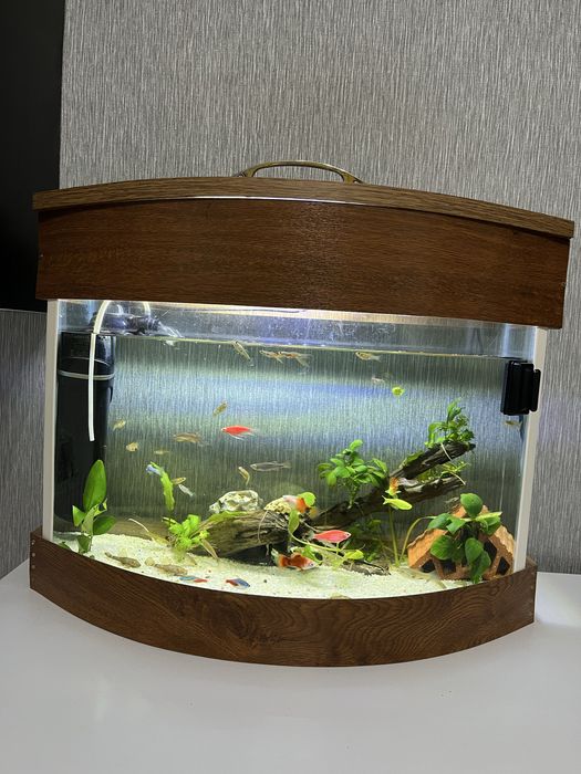 Vand acvariu complet