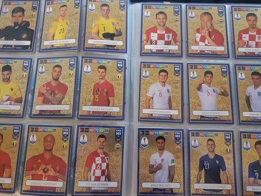 Panini FIFA 2019 Adrenalyn FULL