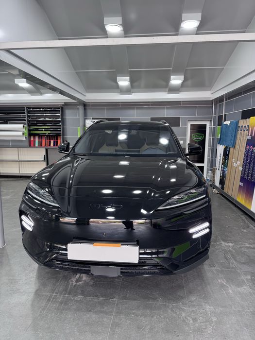 Byd Champion 605км