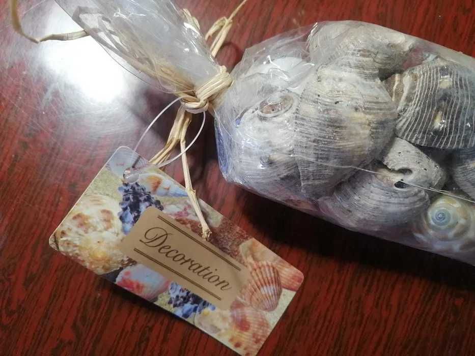 Распродажа! Набор ракушек для творчества, интерьера