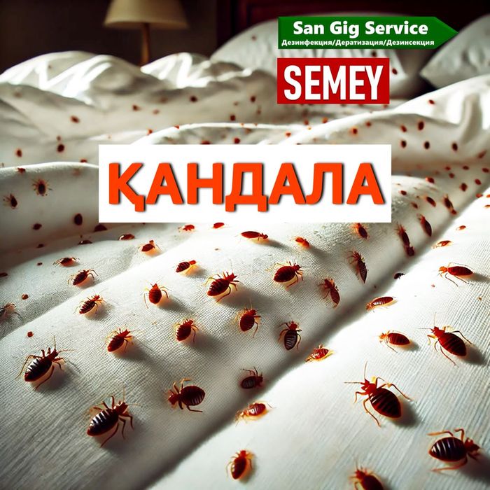 Қандала Бүрге Клопа Блохи Дезинфекция Семей