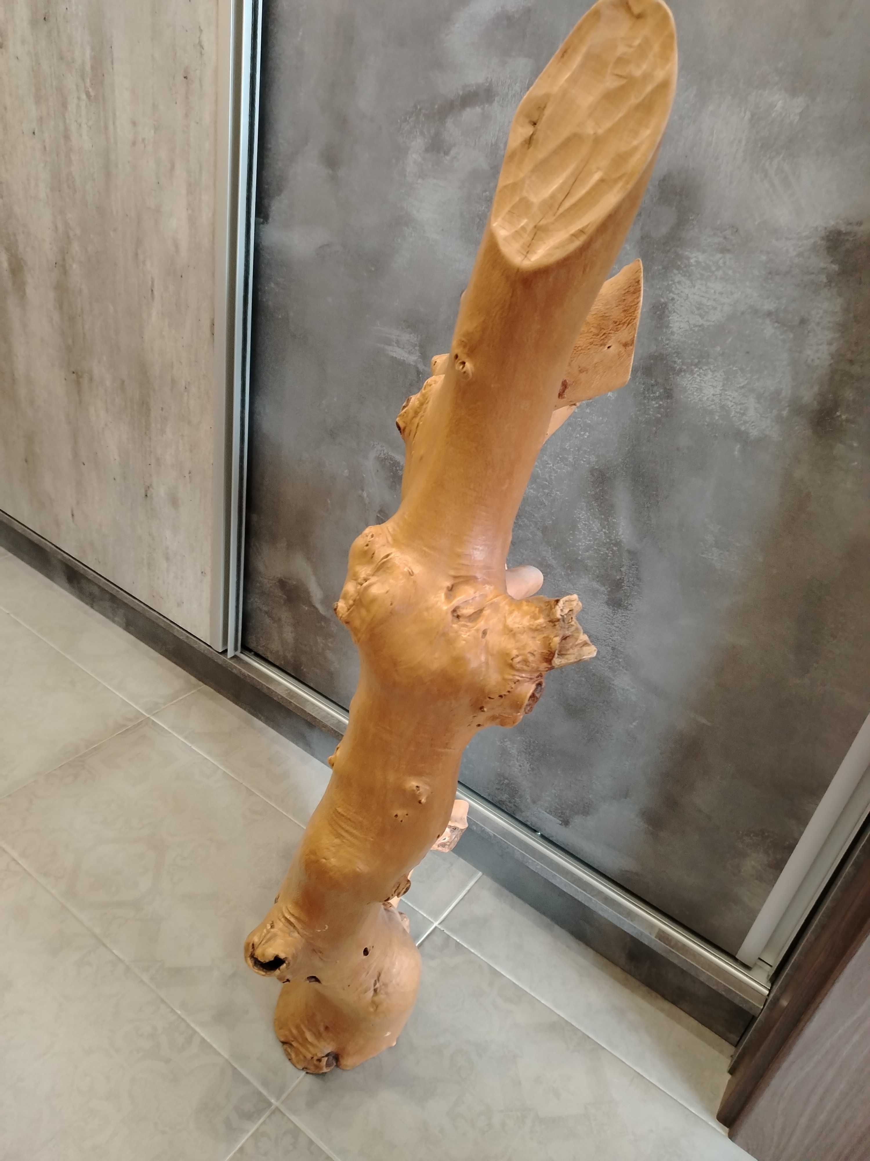 Декоративен корен