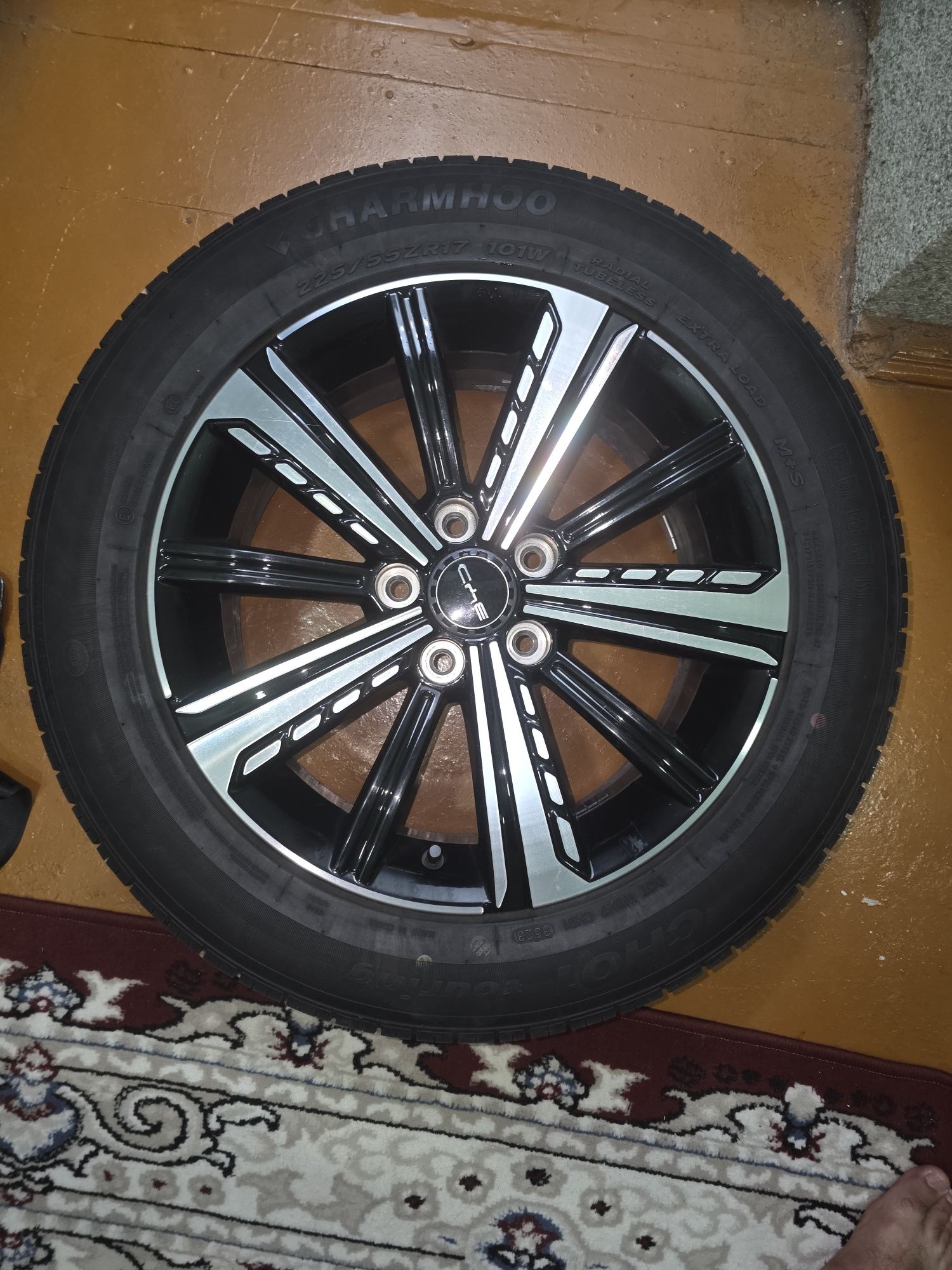 R17  chazor dick CHARIMHOO balonlaribilan