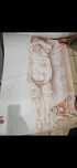 Nud realizat de pictor