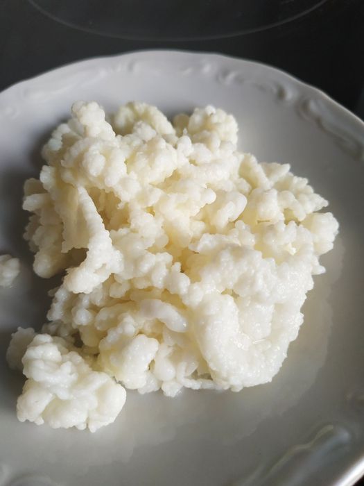 Продавам тибетска гъба за кефир