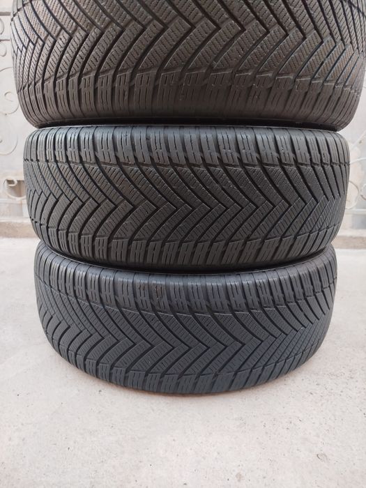 235 55 R19 Shina Tristar