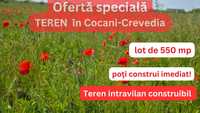 Acad. Titi Aur, Crevedia, PARTICULAR, 550 mp.INTRAVILAN construibil