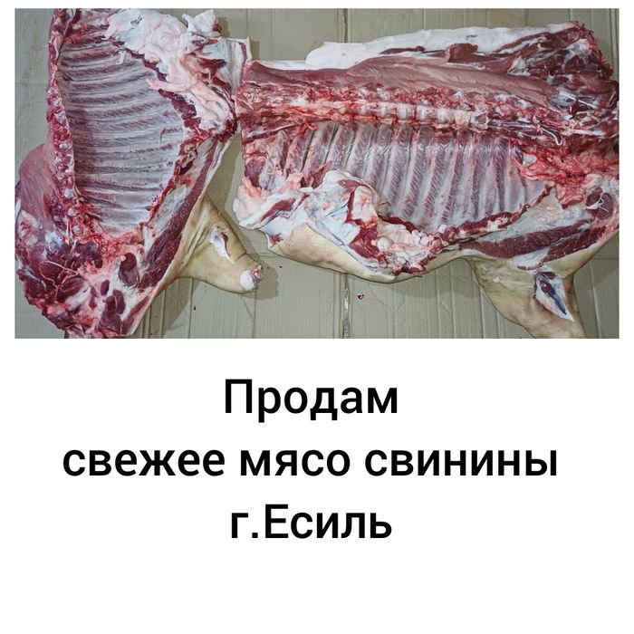 Продам свежее мясо свинины