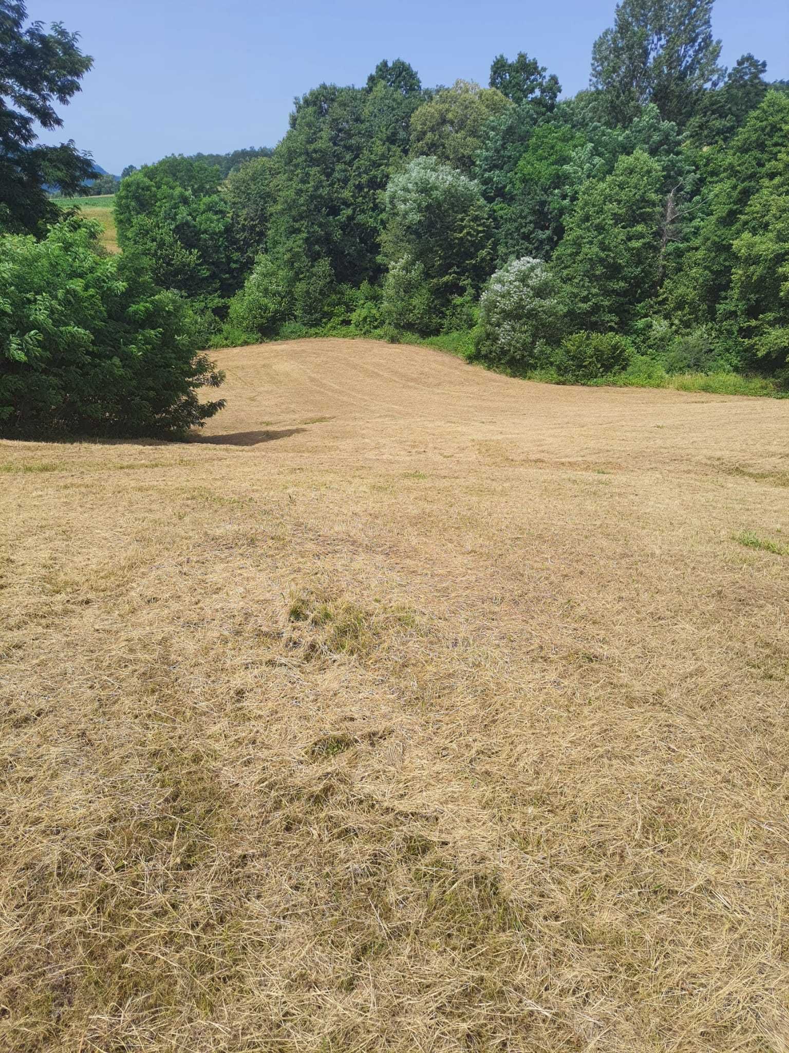 Teren intra si extravilan in Vad, Copalnic-Mănăștur, Maramures
