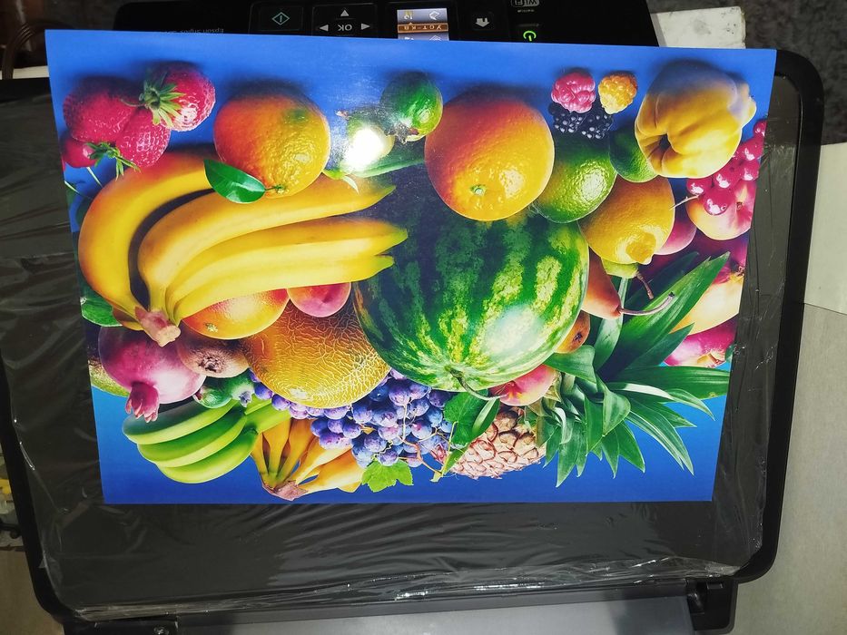 Epson SX430wi fi Printer skaner kopiya