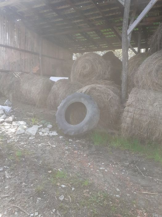 Baloti de fân schimb cu animale