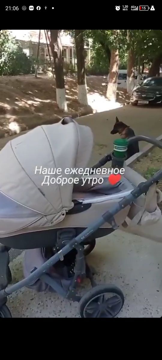 Коляска Adamex 3в1 Польша
