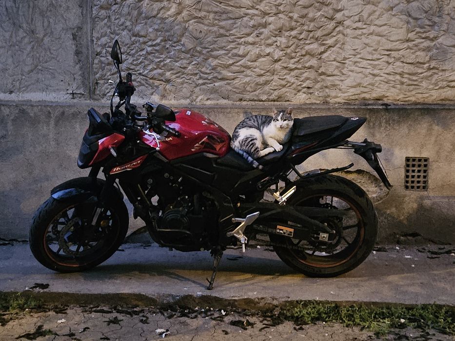 Honda CB500FA Hornet