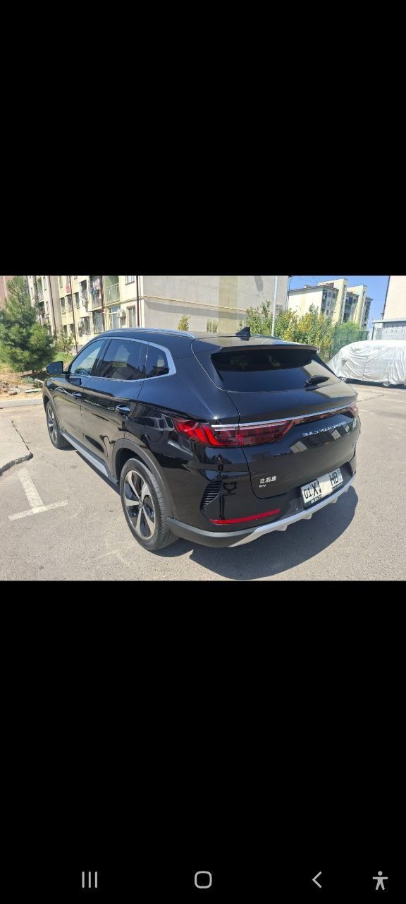 BYD Chempion 2023