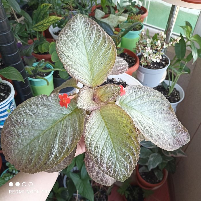 Каждый по 2500 тенге