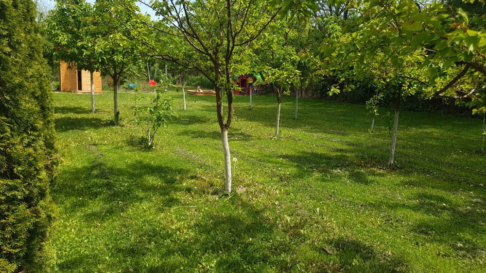 Vand Teren intravilan langa padure o ora de Bucuresti/ schimb auto