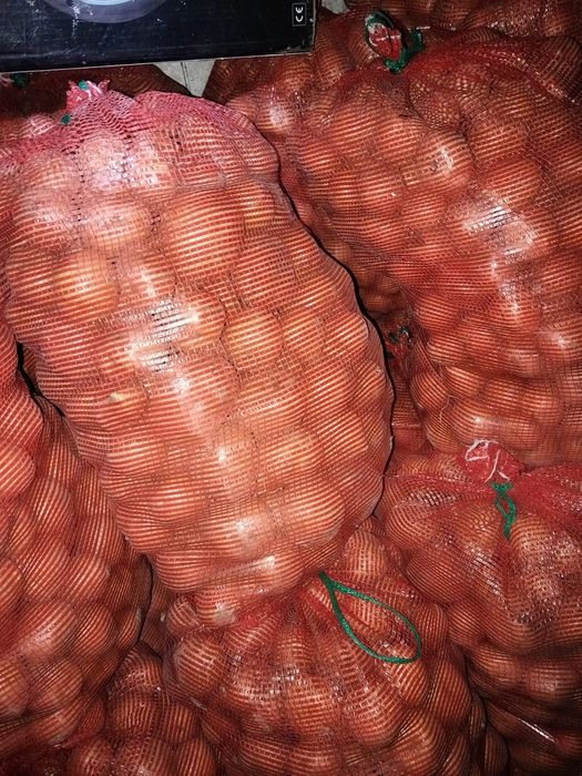 Продам домашнюю картошку, элитный сорт Адретта.